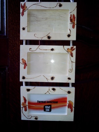 oiseaux_orangés_trois_cadres_18€